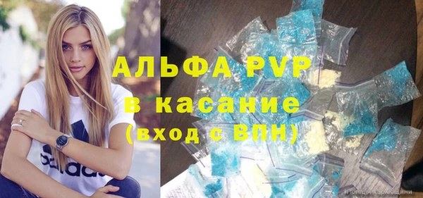 СК Белокуриха
