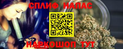 бошки Дубна