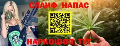 бошки Дубна