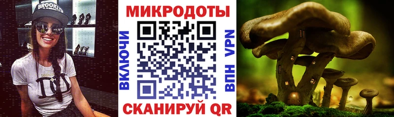 Псилоцибиновые грибы прущие грибы  MEGA как зайти  Великие Луки 