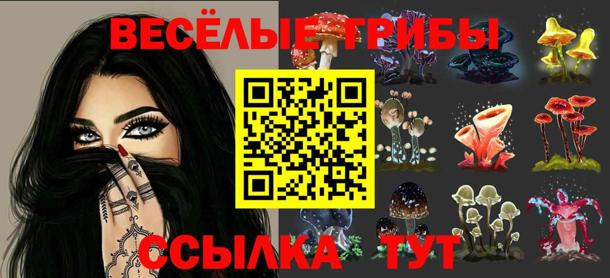 Галлюциногенные грибы мухоморы Великие Луки