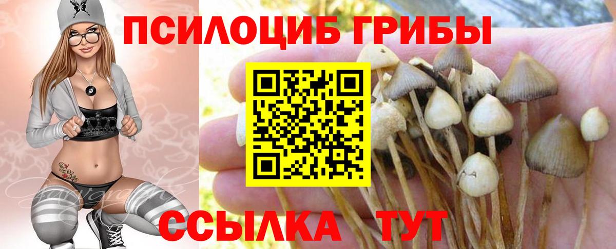 Великие Луки  Псилоцибиновые грибы Psilocybe  Псилоцибиновые грибы Psilocybe  Вход с VPN 