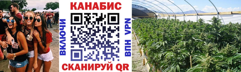 закладка  Великие Луки  Конопля VHQ 